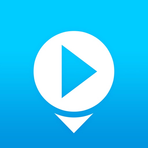 Any Video Saver